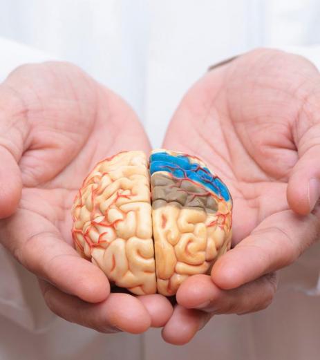 Neuropsicologia