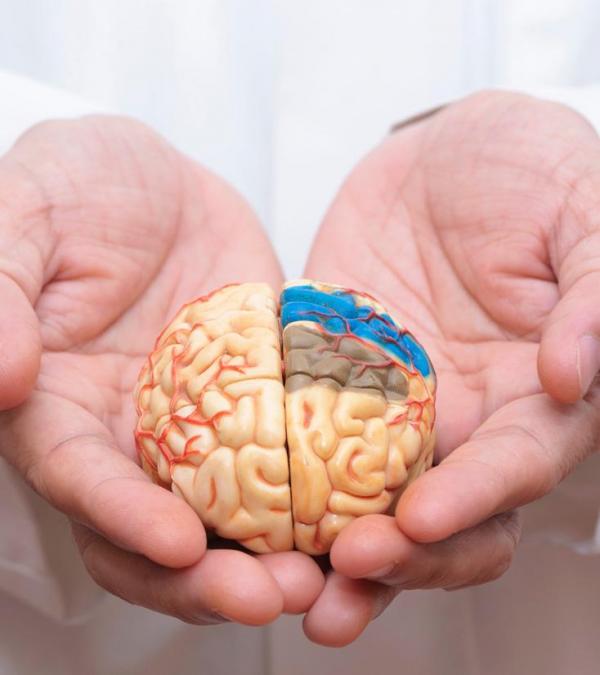 Neuropsicologia